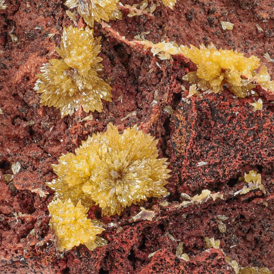 Hedyphane-Apex Mine | San Carlos | Manuel Benavides Mun. | Chihuahua | Mexico